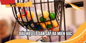 dau-hieu-lo-gan-sap-ra-mien-bac