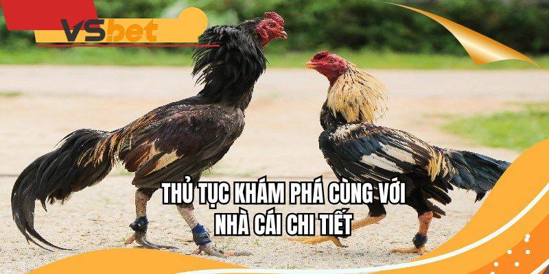 Thủ tục khám phá cùng với nhà cái chi tiết