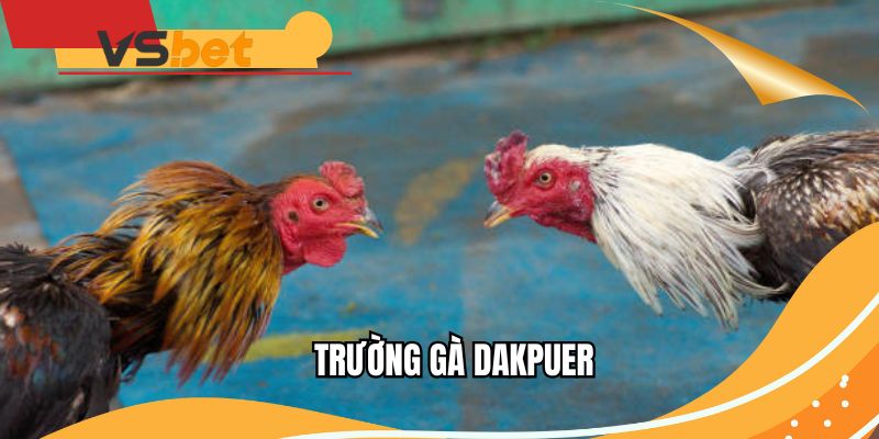 truong-ga-dakpuer